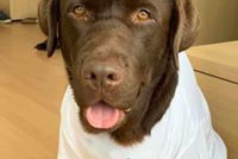 Naše aktivity / Charitatívny beh – Behali sme pre naše deti - foto